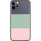 Striped Spring Colors iPhone 11 Pro Skin